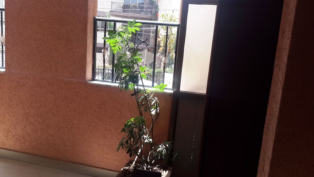 undefined Mesfin Harar Hotel 2