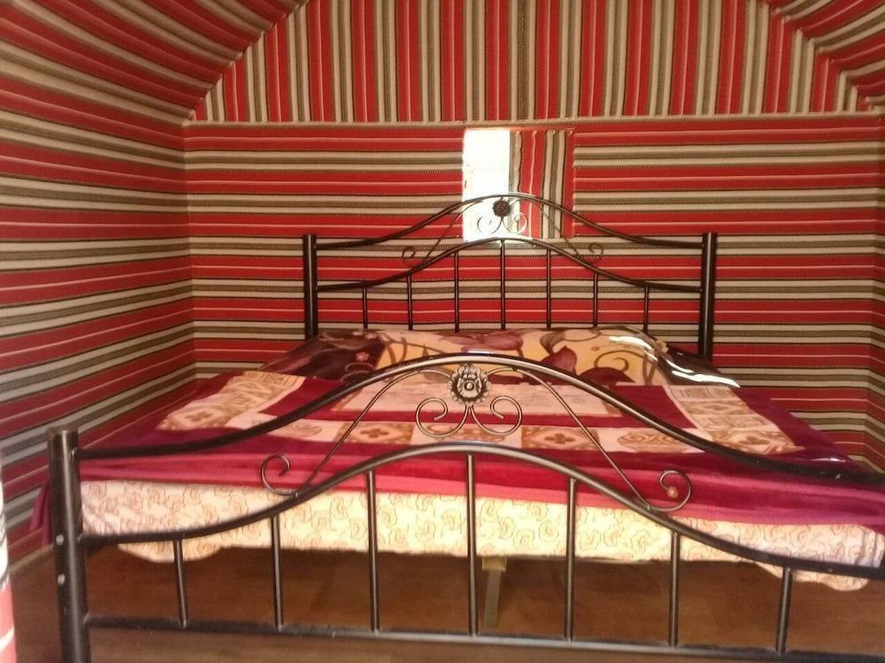 undefined Wildlife Camp 10