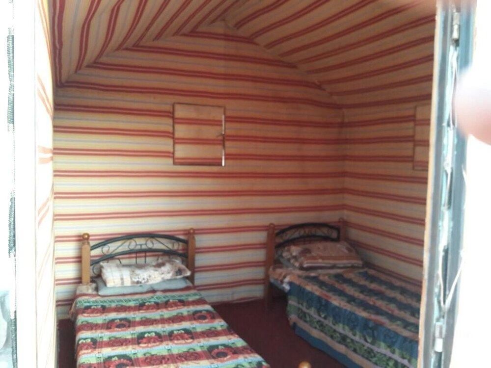 undefined Wildlife Camp 5