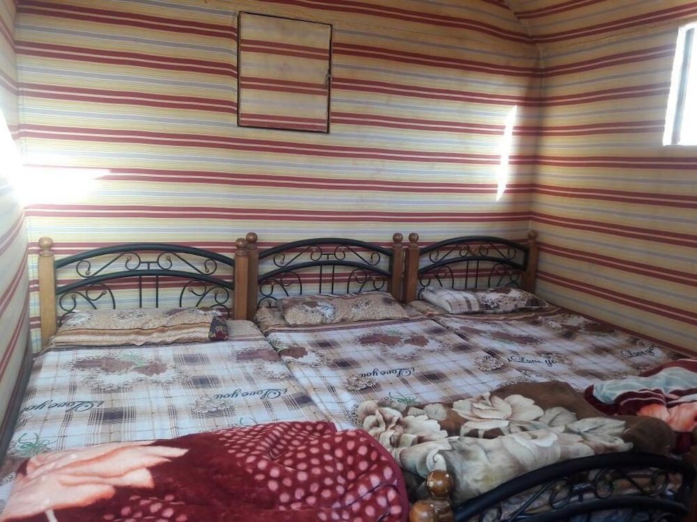 undefined Wildlife Camp 4