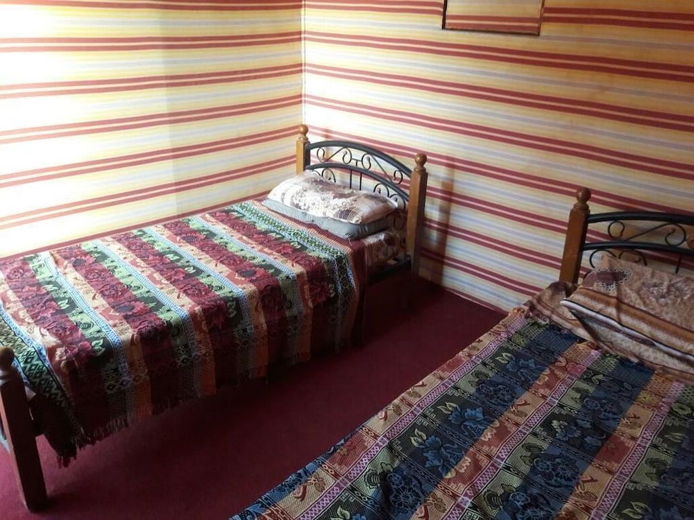 undefined Wildlife Camp 6