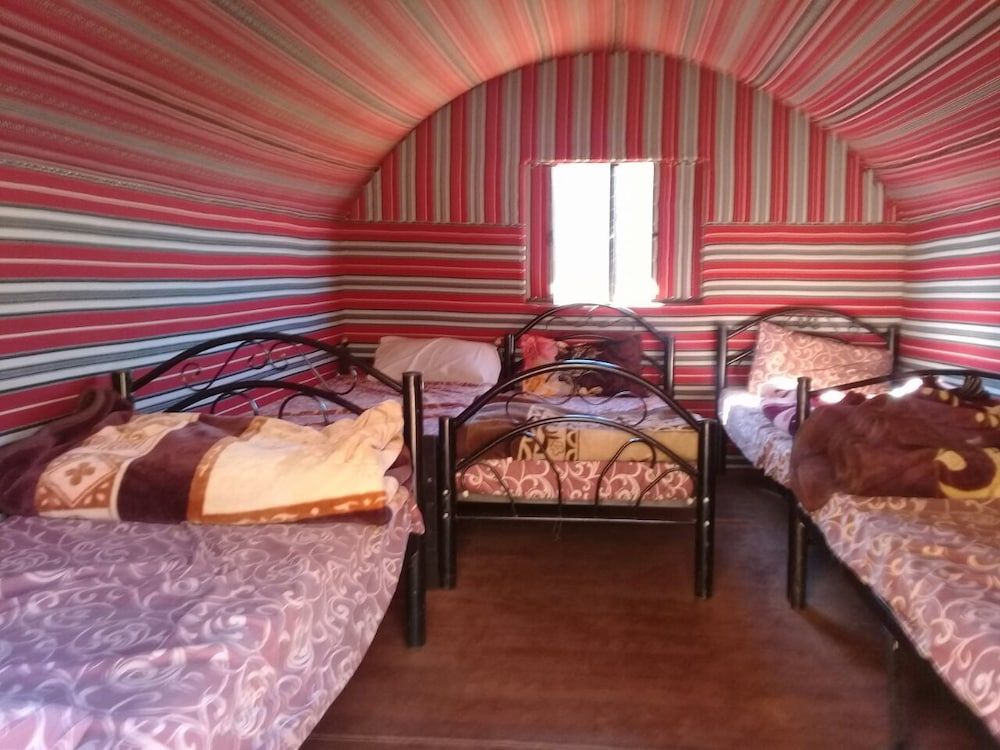 undefined Wildlife Camp 3