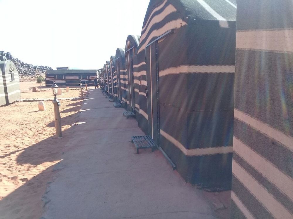 undefined Wildlife Camp