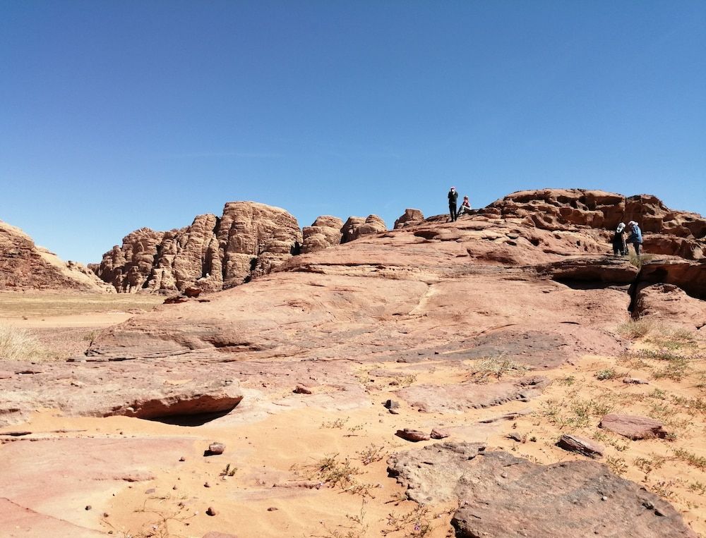 undefined Star Walk Camp 6