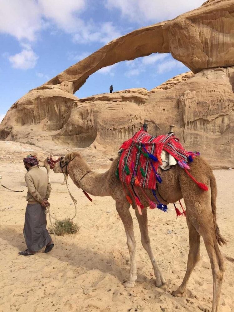 undefined Beduin star trail camp 8