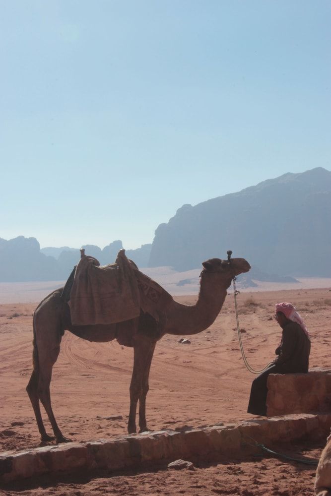 undefined Bedouin Nomads Adventures 4