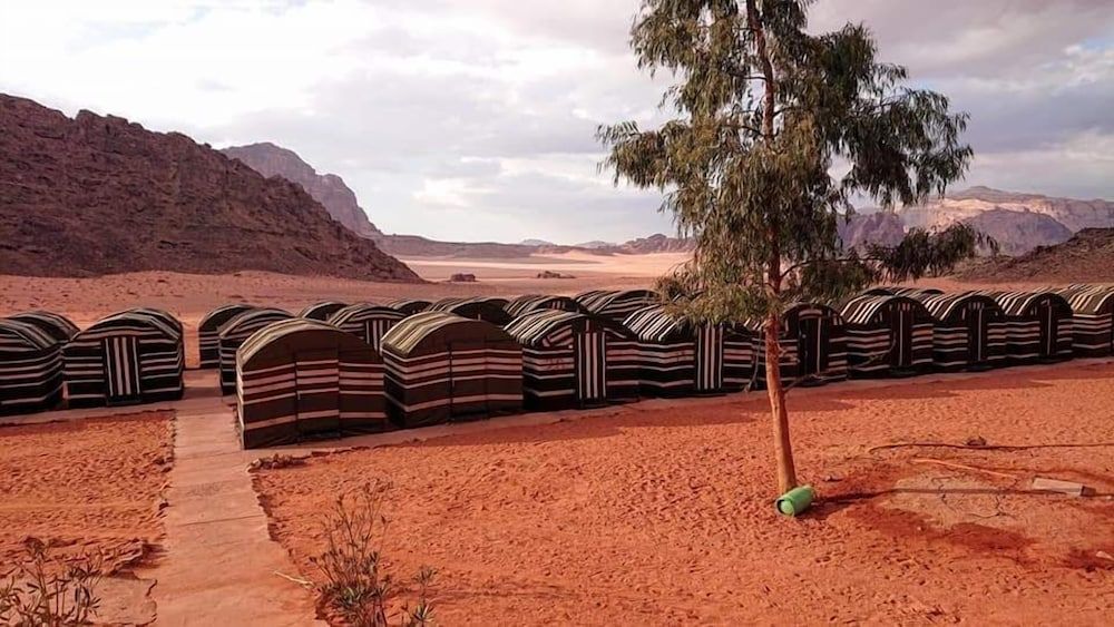 undefined Wadi rum light camp 7