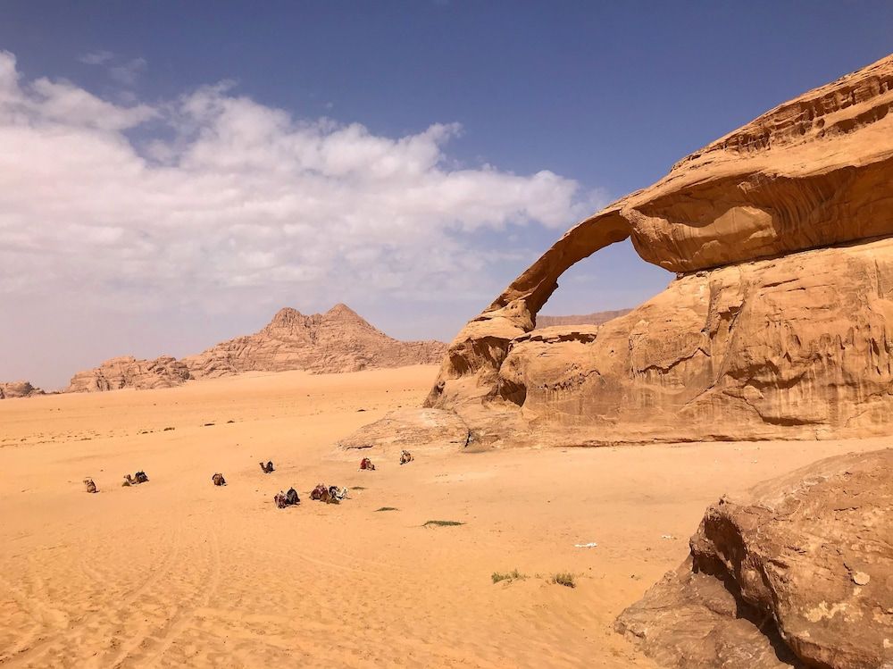 undefined Um Al Tawaqi 9