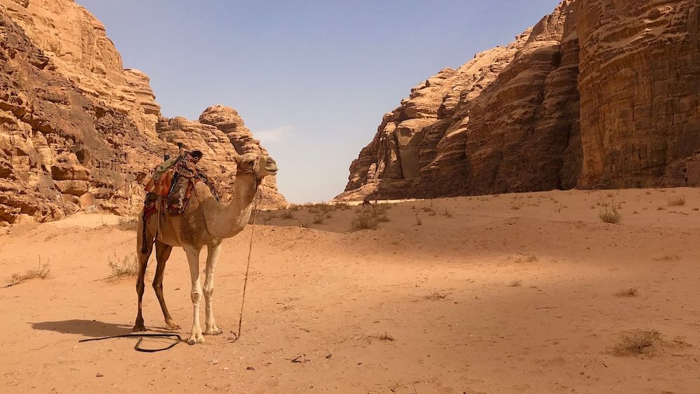 undefined Um Al Tawaqi 3