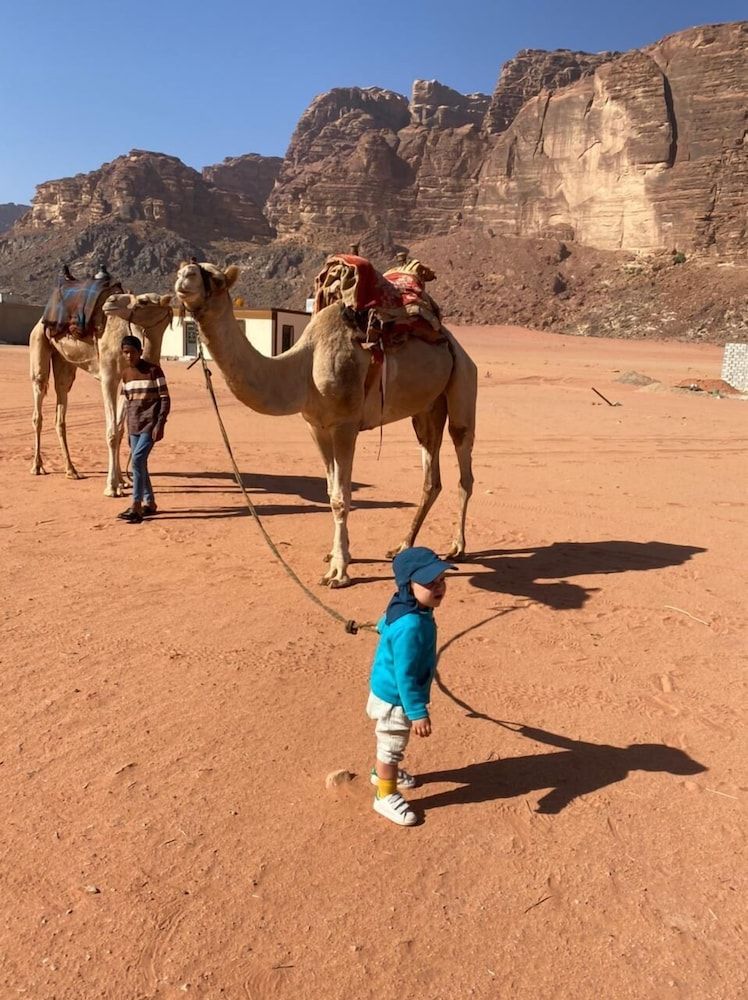 undefined Wadi Rum Safari Camp & Trips 2