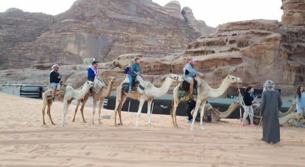 undefined Joseph Camp