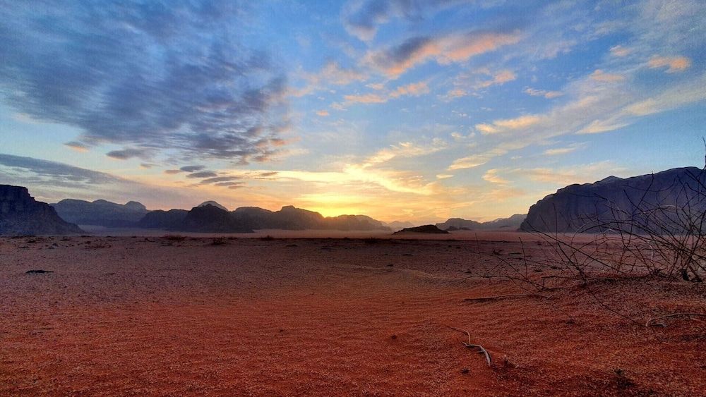 undefined Wadi Rum Oasis 9