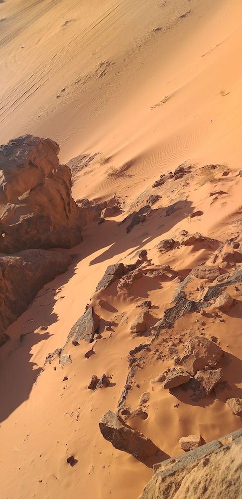 undefined Bronze Mountains Camp 6