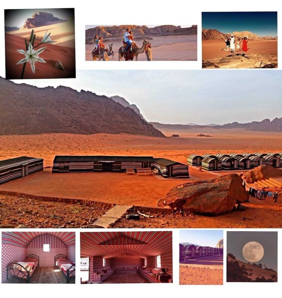 undefined Bedouin habits tours camp 3