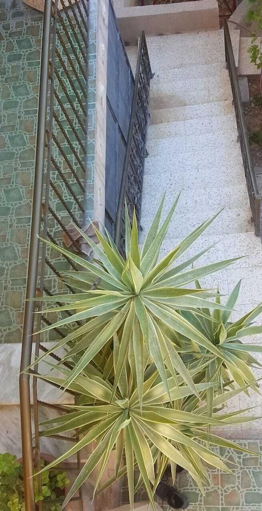 undefined Sultan Home 4