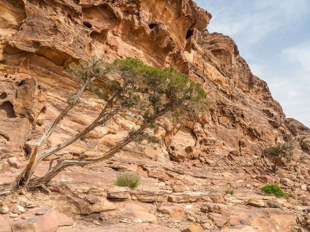 undefined Nature Inn 3