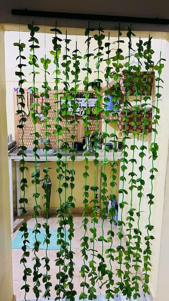 undefined Petra Downtown Home 9