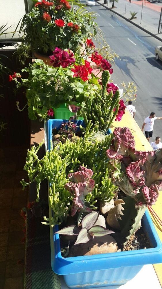 undefined Roman Theater Hotel 3