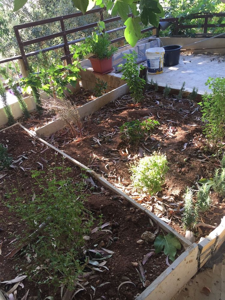 undefined Atef Qassim 6