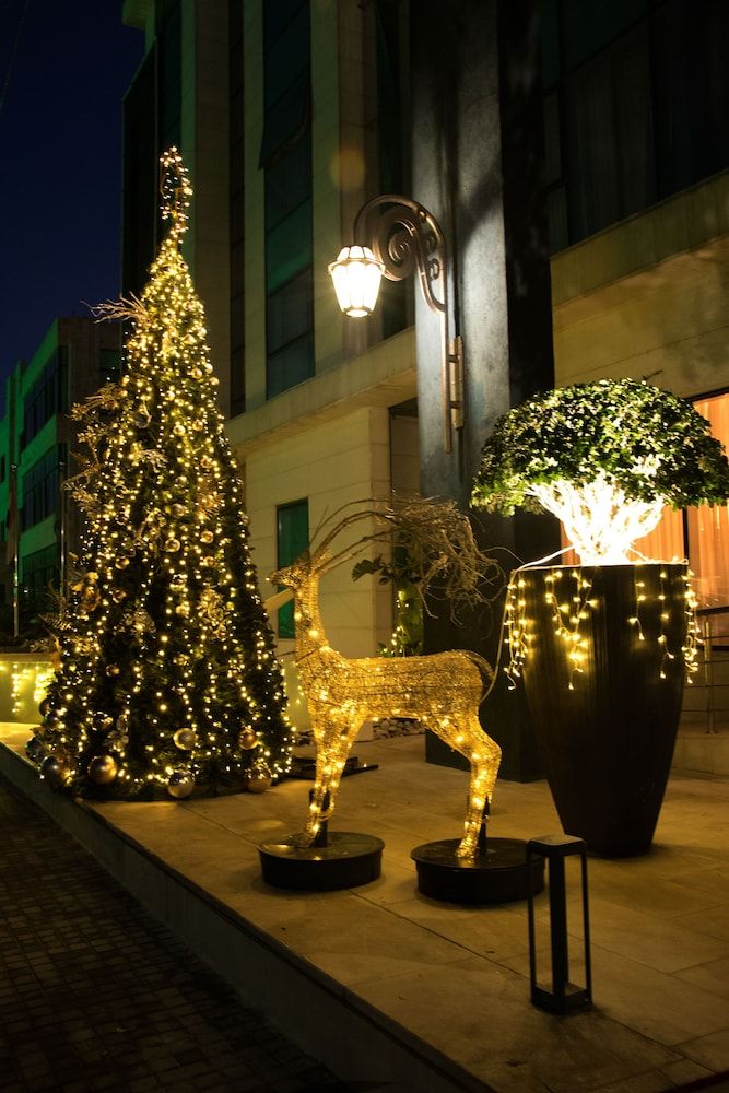 undefined Seas Hotel Amman 7