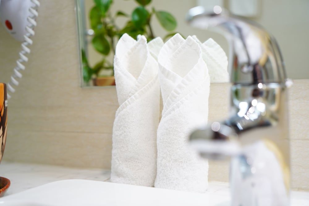 Soluxe Hotel Almaty Standard Double Room, City View 6