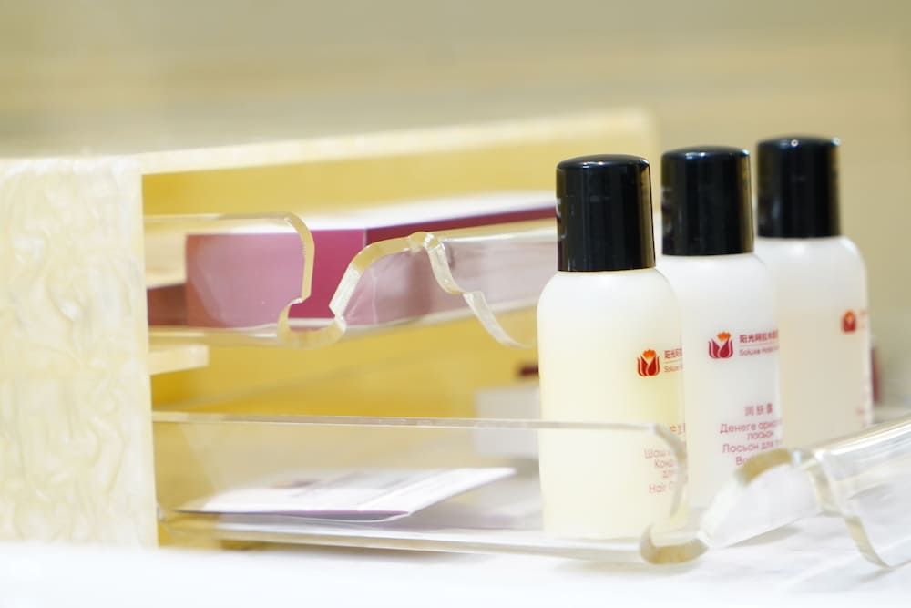 Soluxe Hotel Almaty Standard Double Room, City View 8