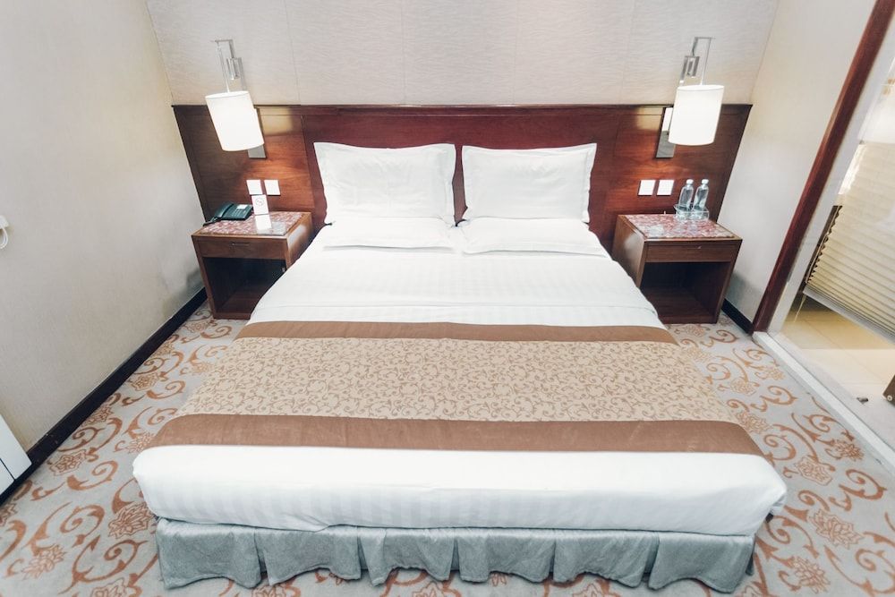 Soluxe Hotel Almaty Standard Double Room, City View 5