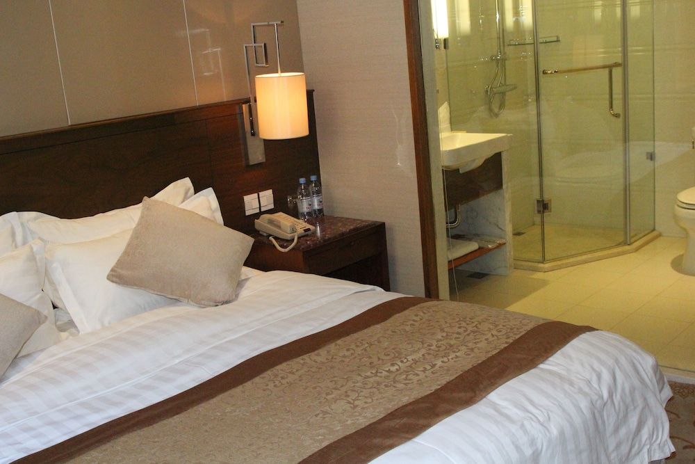 Soluxe Hotel Almaty Standard Double Room, City View 4