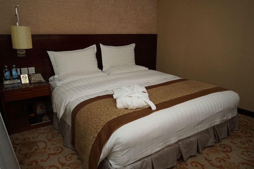 Soluxe Hotel Almaty Standard Double Room, City View 3
