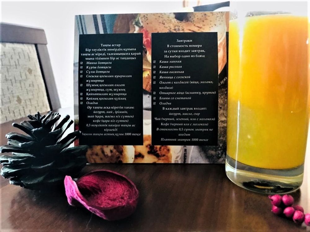 Sultan Beibarys Hotel Comfort Single Room 3