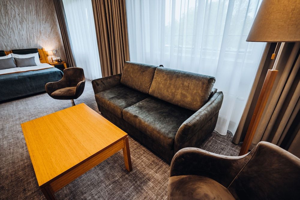 Gabija Hotel SPA & Conferences Apartment with balcony and SPA access 10