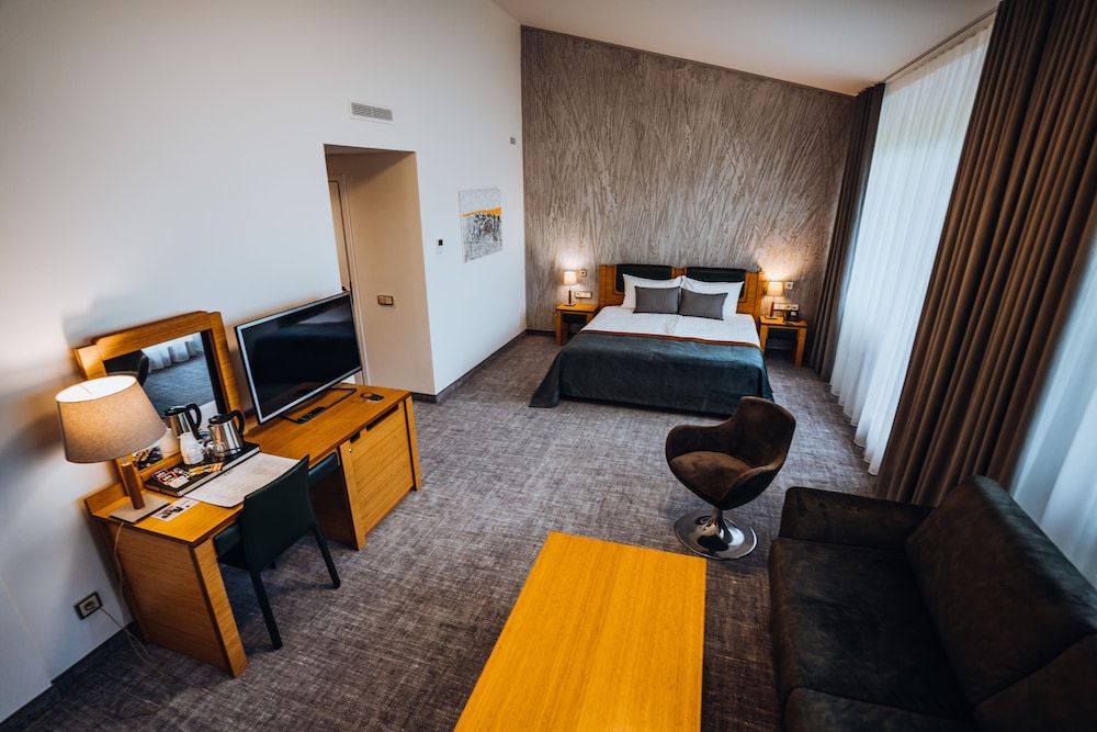 Gabija Hotel SPA & Conferences Apartment with balcony and SPA access 4