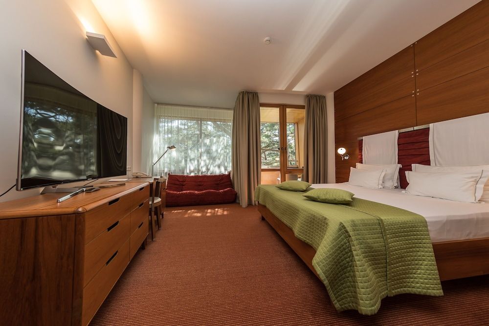 Superior Double Room (Luxury Building)