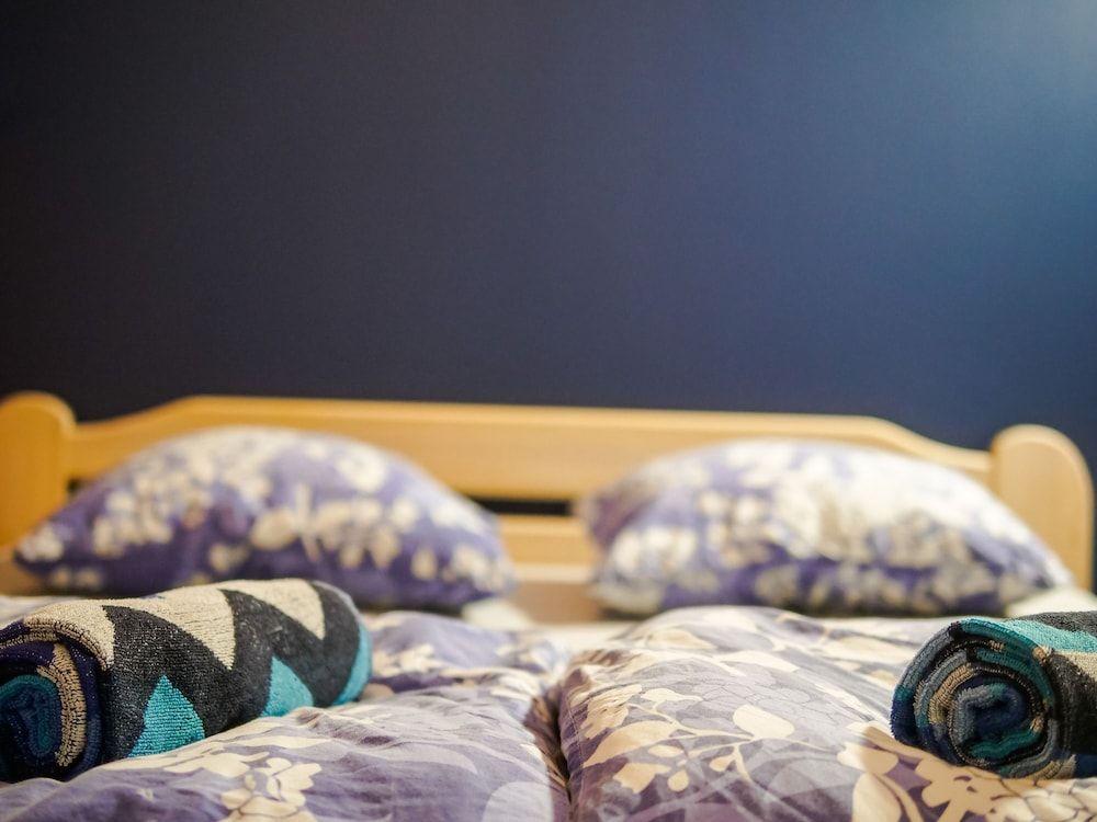 Cinnamon Sally Backpackers Hostel Basic Double Room