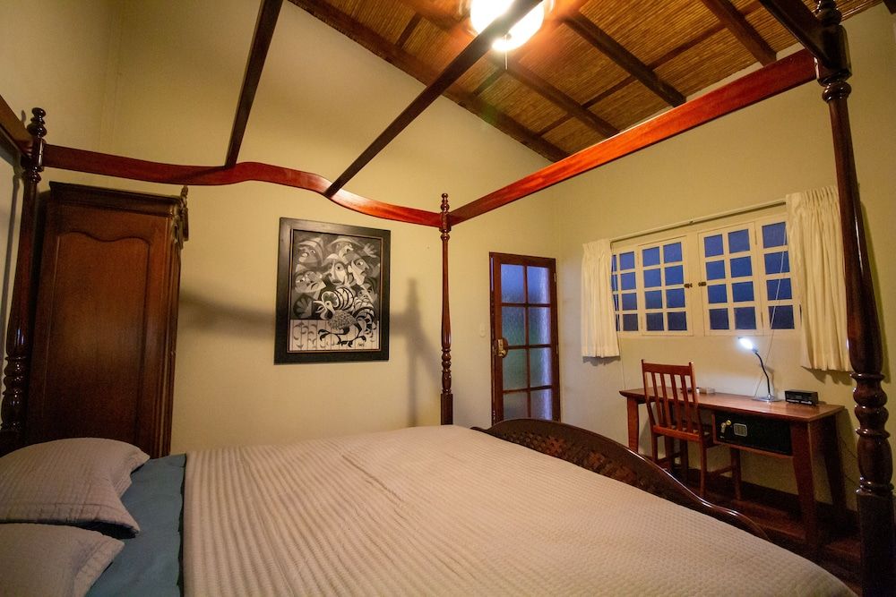 Basic Single Room, 1 King Bed, Non Smoking, Mountain View