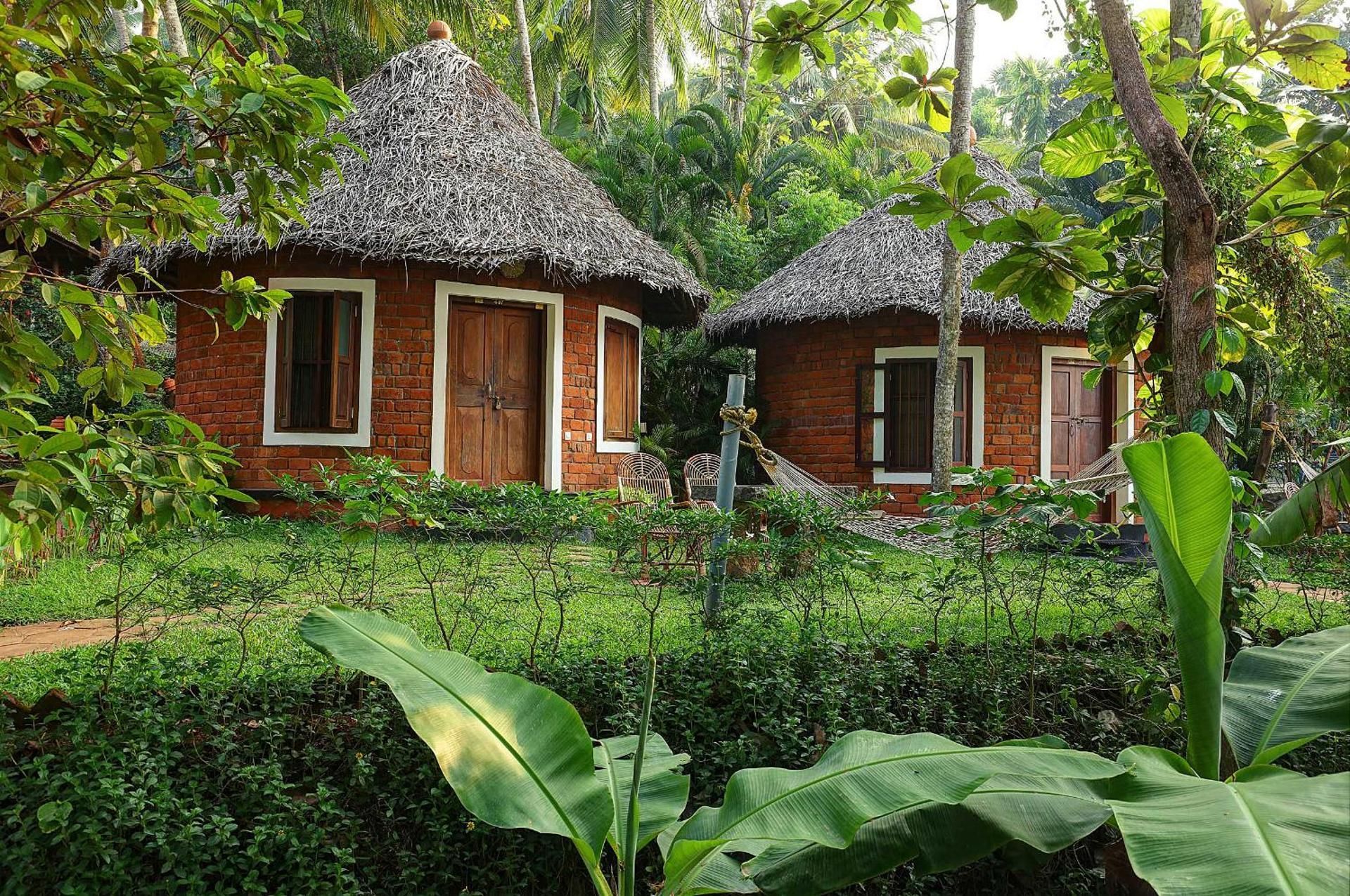 Somatheeram Ayurveda Village Cottage with Garden View 10