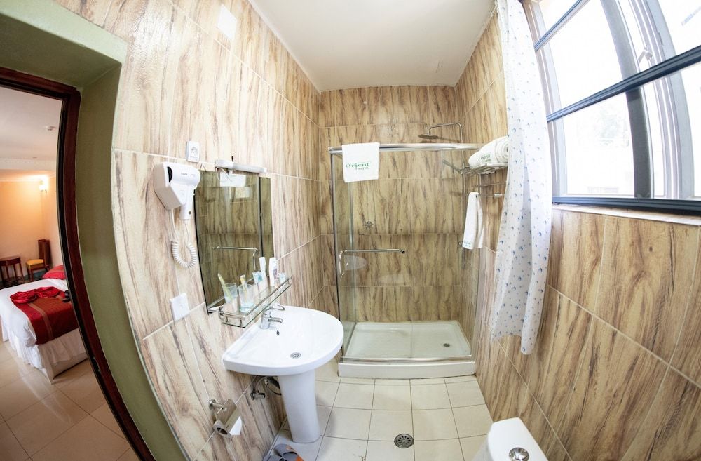 Orient Park Hotel Standard Double Room 4