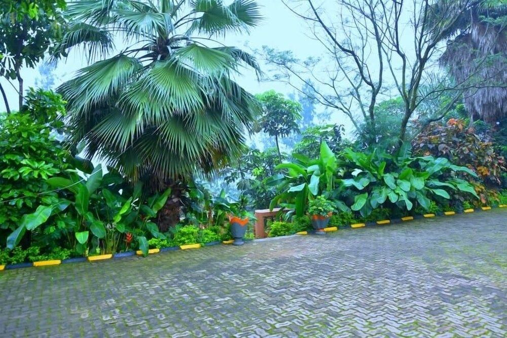 undefined Random Park 4