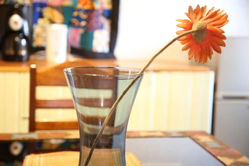 Tea House BnB Apartment Basic Double Room, Non Smoking, Garden View 5