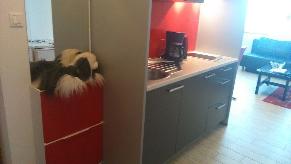 Vila Ema Deluxe Apartment, 1 Bedroom, Garden View 10