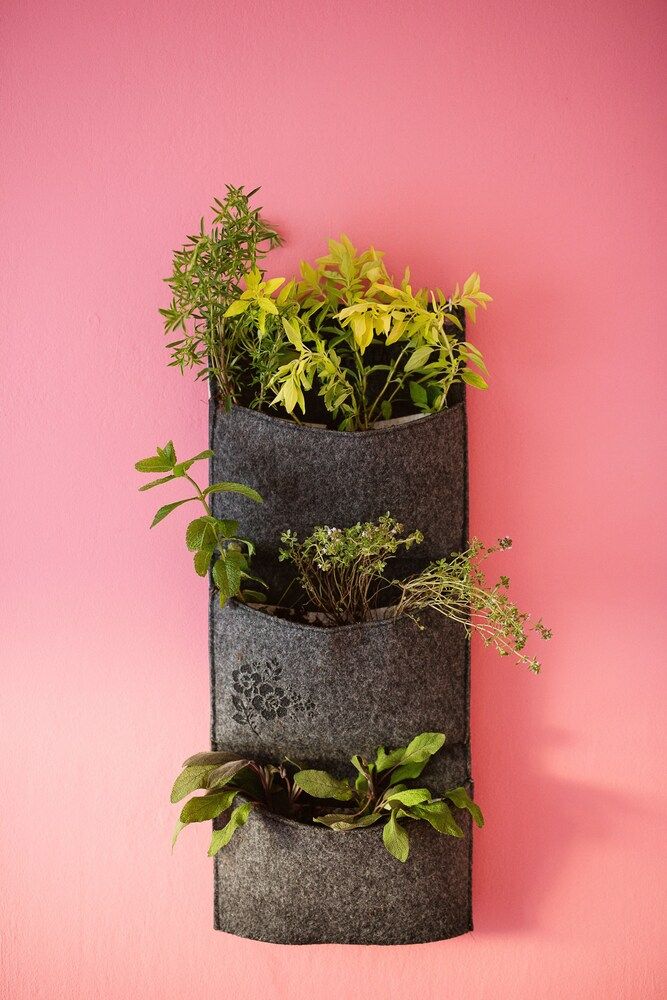 undefined Garden apartment 6