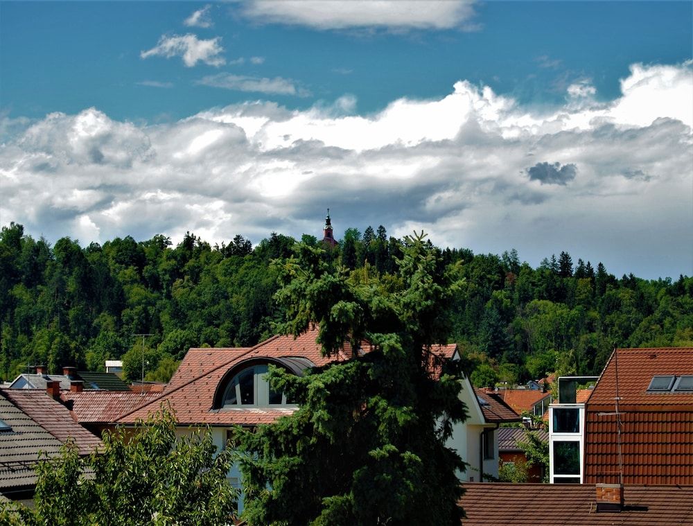 Rose Valley Ljubljana Family Apartment 8