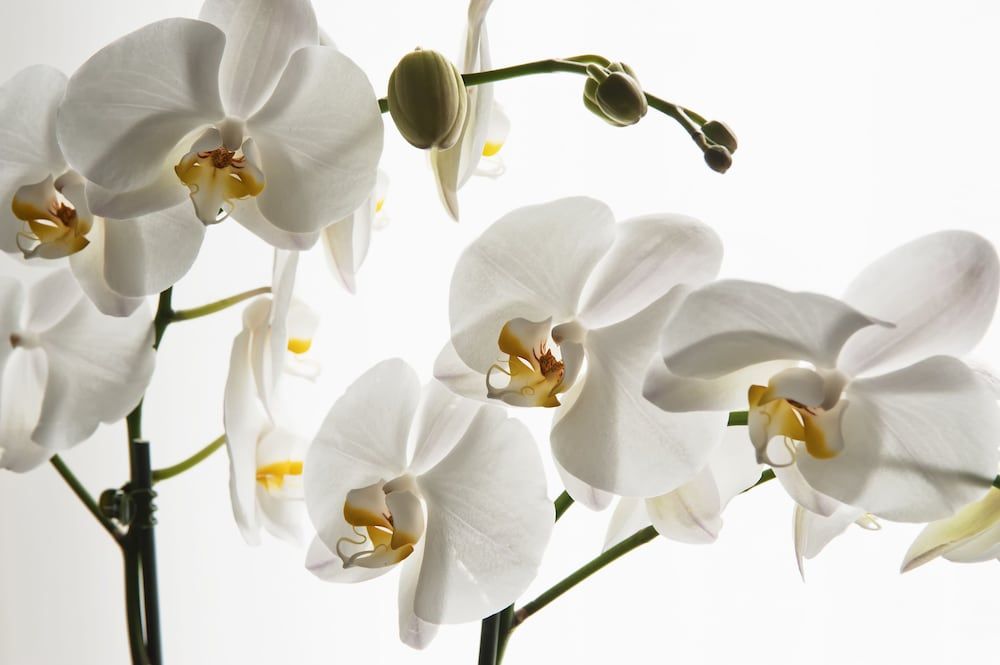 Hotel Cubo Single Room 2