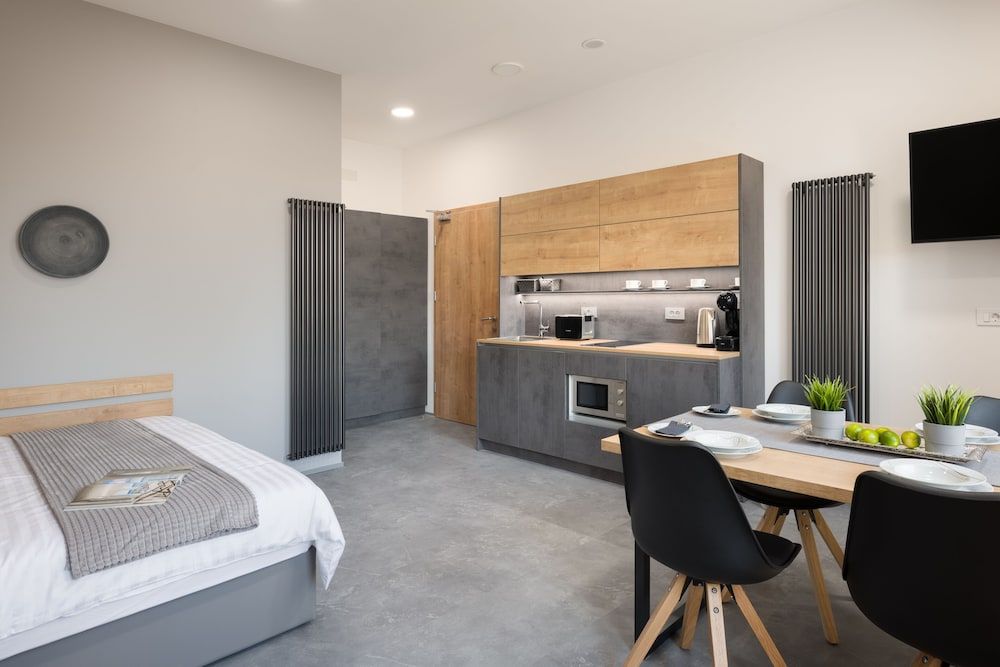 Vila Emona - Central Apartments - Free Parking Premium Studio with Street View (Apt.8) 3