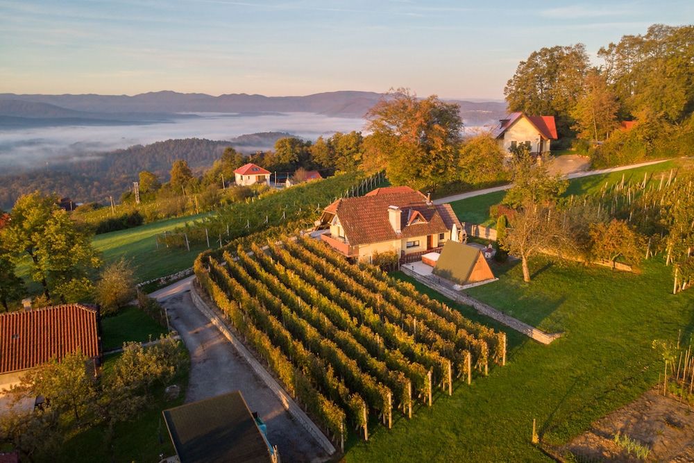 Vineyard Cottage Hocevar