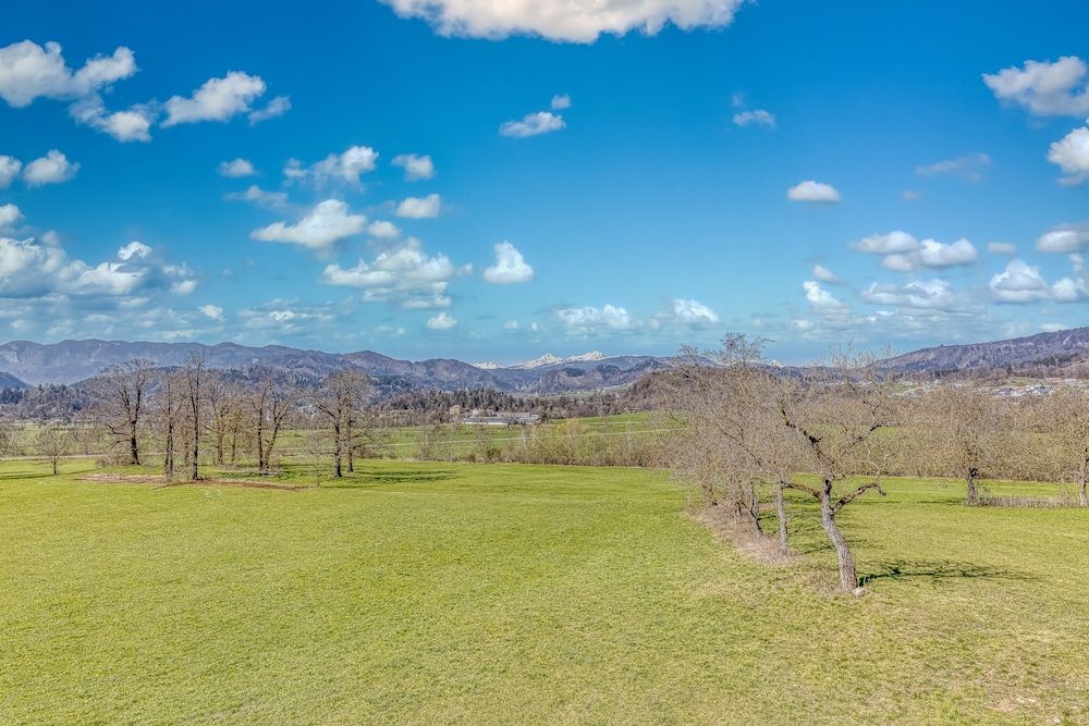 undefined Bled Lake Apartment Green 7