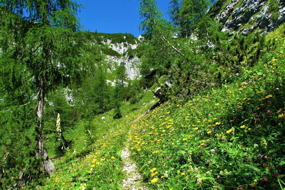 Bled Lake Apartment Blue Apartment 15