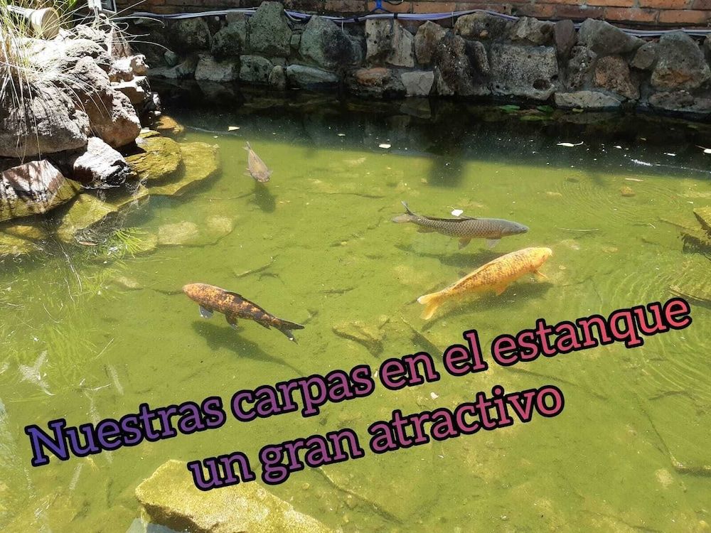 Jardines de Dayman