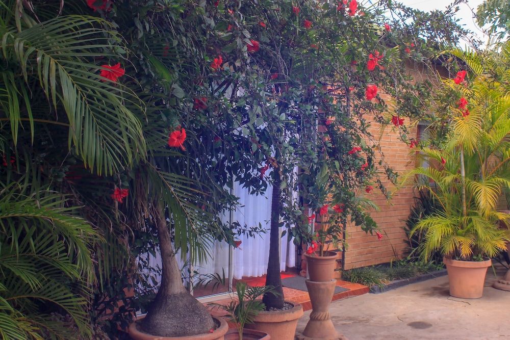 undefined Lillo Executive Lodge 7