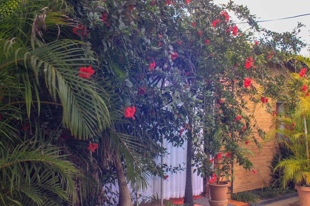 undefined Lillo Executive Lodge 6